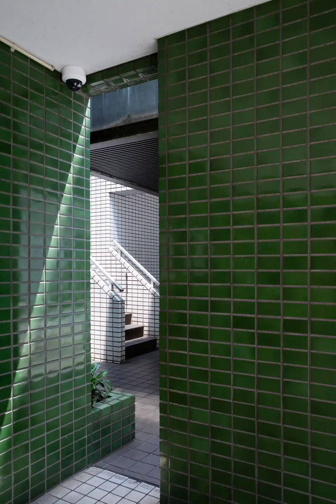 Geometric Pool Surround